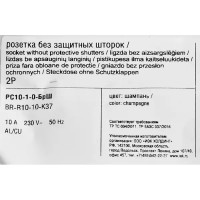 Розетка встраиваемая IEK Brite РС10-1-0-БрШ без заземления цвет шампань