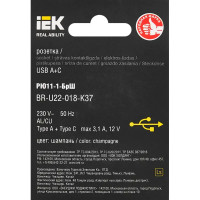 Розетка USB встраиваемая IEK Brite РЮ11-1-БрШ цвет шампань