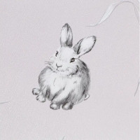 Обои флизелиновые Vog Collection Funny Bunny розовые 1.06 м 72059-55