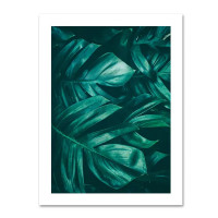 Постер Флора джунглей 30x40 см 3 шт.