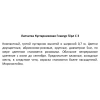 Лапчатка кустарниковая ø17 h50 см