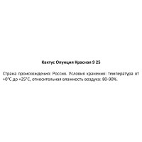 Кактус Опунция красная ø9 h25 см