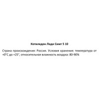 Котиледон Леди Смит ø5 h10 см