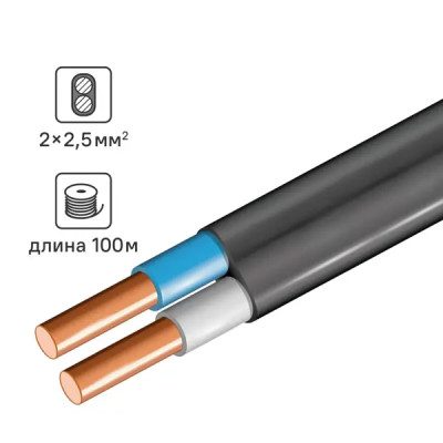 Кабель ВВГпнг(А)-LS 2x2.5 0.66 кВ 100 м