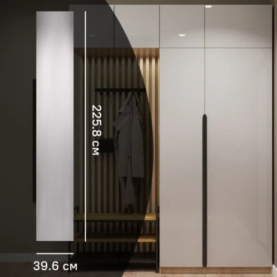 Дверь для шкафа Лион 40x225.8x16 см цвет серый глянец