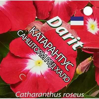 Семена цветов Дарит катарантус Саншторм Ред Хало 8 шт.
