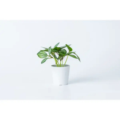 Искусственное растение Флора 4x12 см