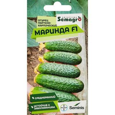 Семена овощей огурец Партенокарпик Маринда F1