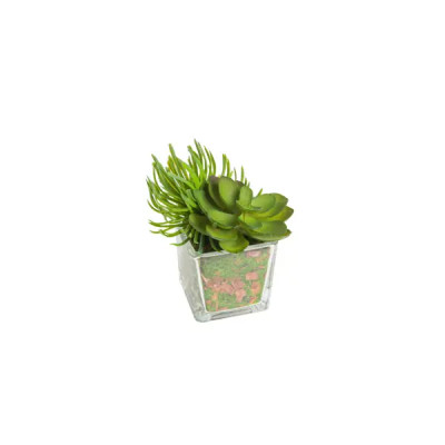 Искусственное растение Суккулент микс 11 см цвет зеленый