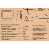 Прожектор светодиодный уличный 52822 7 30 Вт 6500K IP65, холодный белый свет