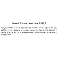 Кактус и суккулент микс супер ø5.5 h7 см