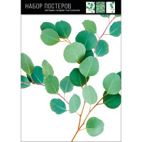 Набор постеров Листья 39x49 см