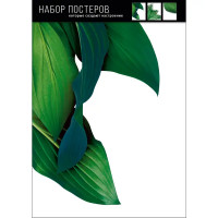 Набор постеров Изумрудная лаконичность 30x40 см