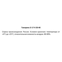 Тамарикс ø17 h20 - 40 см