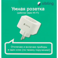 Розетка с расходомером Wi-Fi Powerswitch Sibling