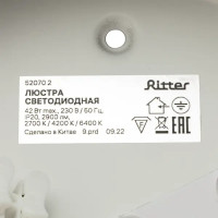 Люстра потолочная светодиодная Ritter Scandia 52070 2 42 Вт 15 м² регулируемый белый свет цвет серый