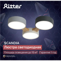 Люстра потолочная светодиодная Ritter Scandia 52070 2 42 Вт 15 м² регулируемый белый свет цвет серый