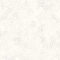 Обои флизелиновые Wallsecret Casablanca белые 1.06 м 8813-20