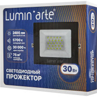 Прожектор светодиодный уличный Lumin Arte 30 Вт 5700К IP65 нейтральный белый свет