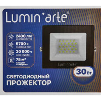 Прожектор светодиодный уличный Lumin Arte 30 Вт 5700К IP65 нейтральный белый свет