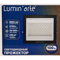 Прожектор светодиодный уличный Lumin Arte 100 Вт 5700К IP65 нейтральный белый свет