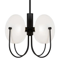 Люстра потолочная Ellipse FR5320PL-04B цвет черный