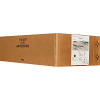 Светильник настенный светодиодный бра Magnet FR6106WL-L10G цвет золото