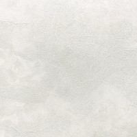 Обои флизелиновые Erismann Veter темно-бежевые 1.06 м 60560-04
