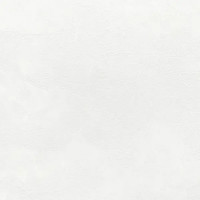 Обои флизелиновые Erismann Veter бежевые 1.06 м 60560-01