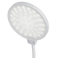 Настольная лампа светодиодная Эра LED-501-10W-W нейтральный белый свет цвет белый, с регулировкой яркости