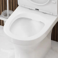 Унитаз-компакт AM.PM Moxie Flash Clean C9M8600SC, безободковый, сиденье с микролифтом, двойной смыв