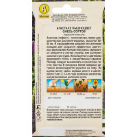 Семена цветов Аэлита агастахе пышноцветковый микс