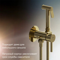 Гигиенический душ Damixa Rowan 213110500LM набор со смесителем цвет бронза