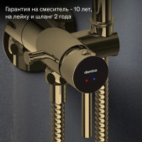 Гигиенический душ Damixa Rowan 213110500LM набор со смесителем цвет бронза