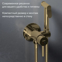 Гигиенический душ Damixa Rowan 213110500LM набор со смесителем цвет бронза