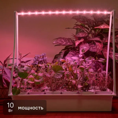 Фитосветильник светодиодный Uniel Минисад P34 с подставкой 10 Вт красно-синего спектра для растений 12 шт.