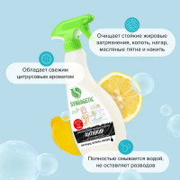 Средство чистящее Антижир Synergetic 500 мл
