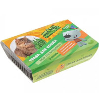 Набор для выращивания Ми-ми-мишки Трава для кошек ячмень