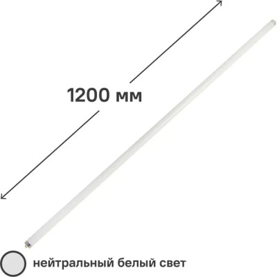 Лампа люминесцентная Belsvet T8 1200 мм 36 Вт свет дневной