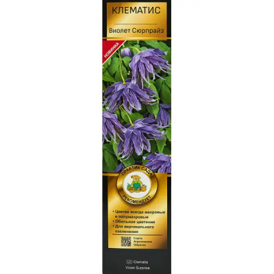 Клематис ботанический Виолет Сюрпрайз ø5 h35 см