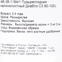 Пузыреплодник калинолистный «Диабло», С3/80-100 см