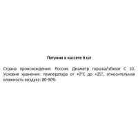 Петуния в кассетах, 6 шт.