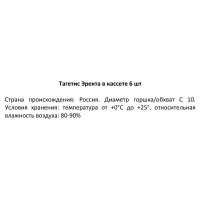 Тагетис «Эректа» в кассетах, 6 шт.