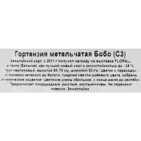 Гортензия метельчатая «Бобо» 17.5x30 см