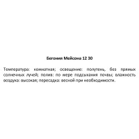 Декоративно-лиственное растение Бегония Мэйсона ø12 h15-30 см