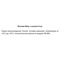 Бегония вечноцветущая микс h15 см в кассете, 4 шт.