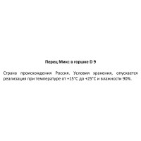 Перец сладкий ø9 см