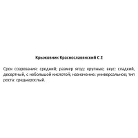 Крыжовник сортовой Краснославянский ø15 h30 см