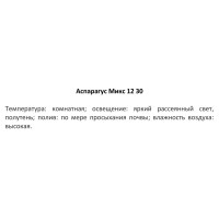 Аспарагус микс ø12 h30 см