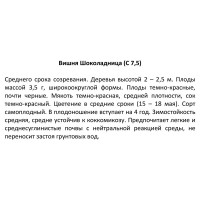 Вишня Шоколадница микс ø25 h100 см